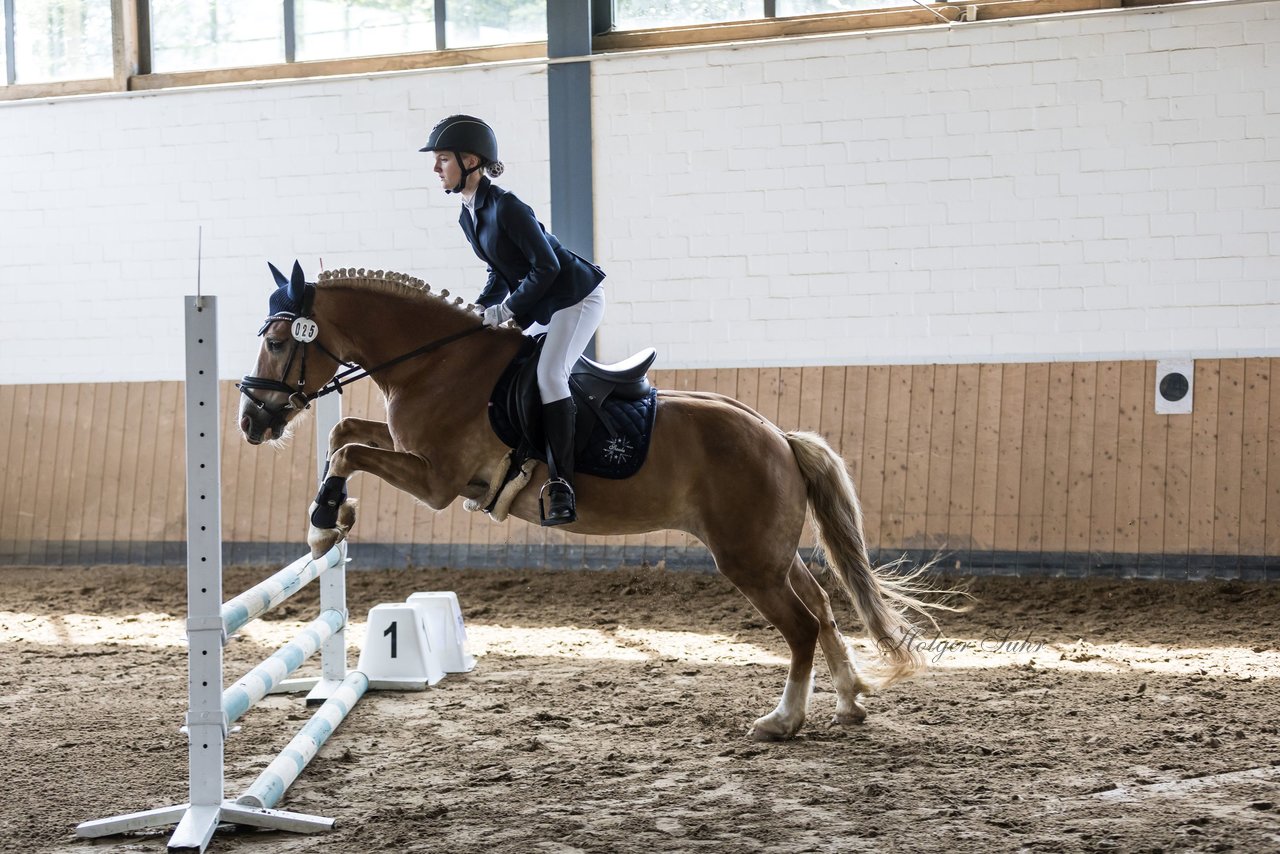 Bild 34 - Pony Akademie Turnier